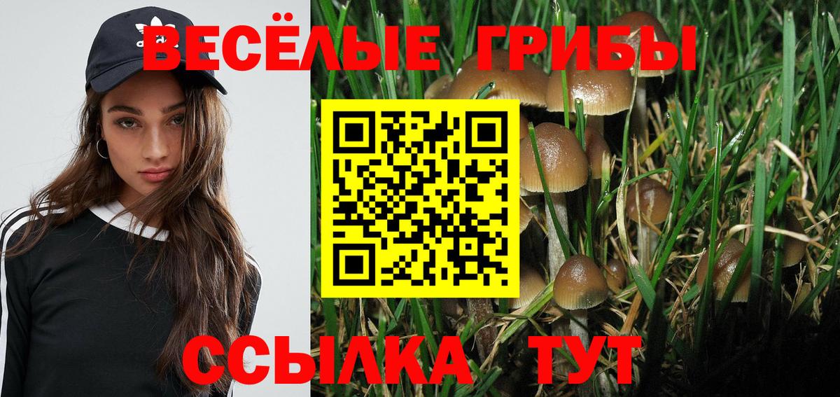 Рязань  Псилоцибиновые грибы ЛСД  Псилоцибиновые грибы мицелий  Вход с VPN 